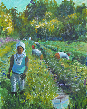 Field of Dreams