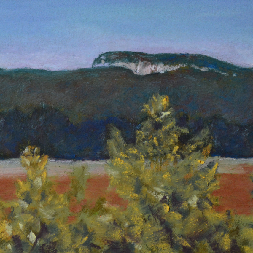 Spring from the Farm