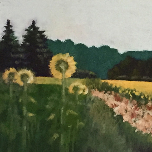 Back Yard Sunflowers