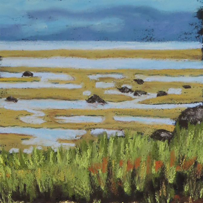 Breakwater Marshes
