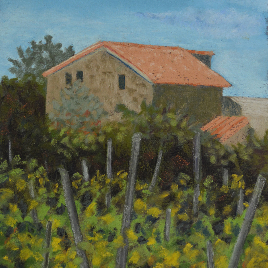 Stone House Grapes