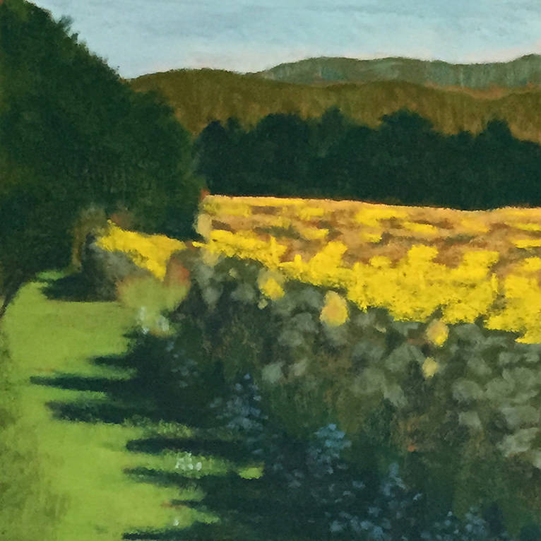 Sunflower Field