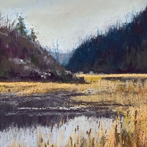 Bird Marsh