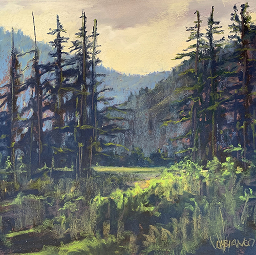 Morning Light
